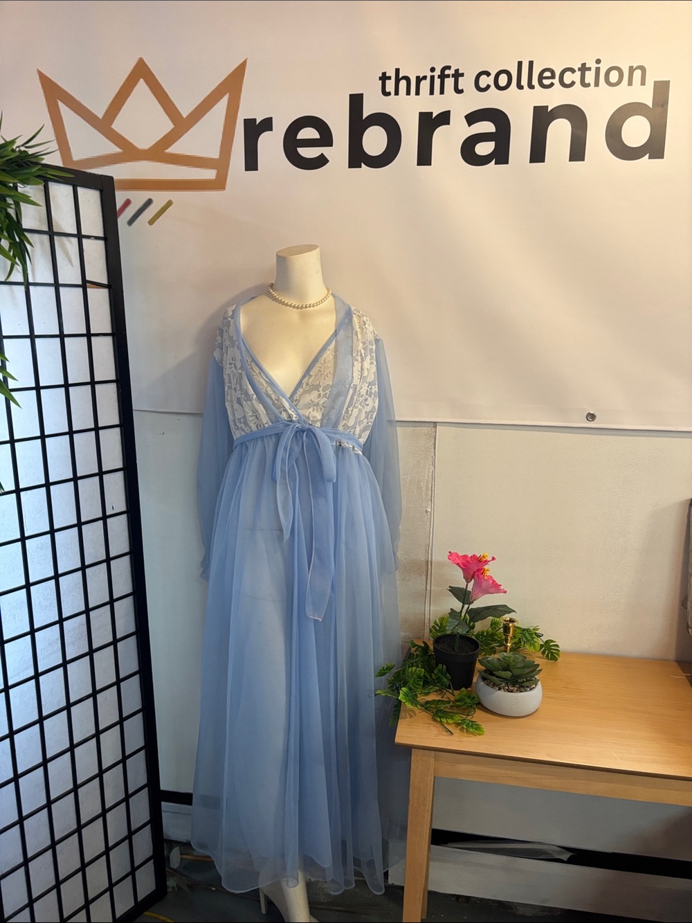 Sheer Lace-Trim Long Chemise Robe in Light Blue